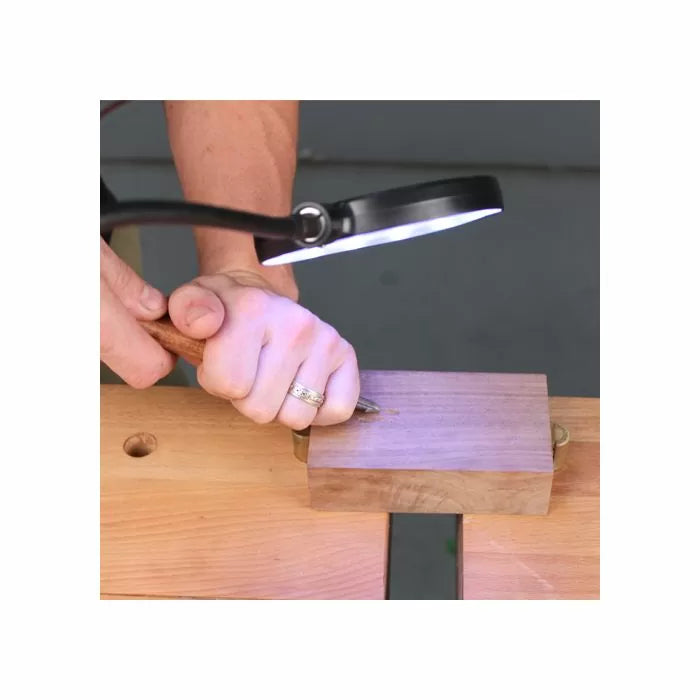 Magnifying LED Work Light With Dual Power & Dual Clamping