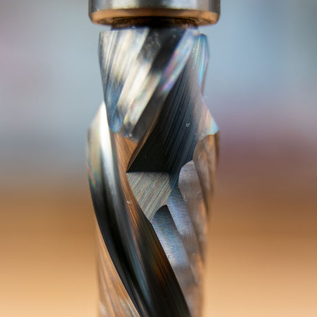 Close-up of a spiral compression router bit with bearing for woodworking precision.